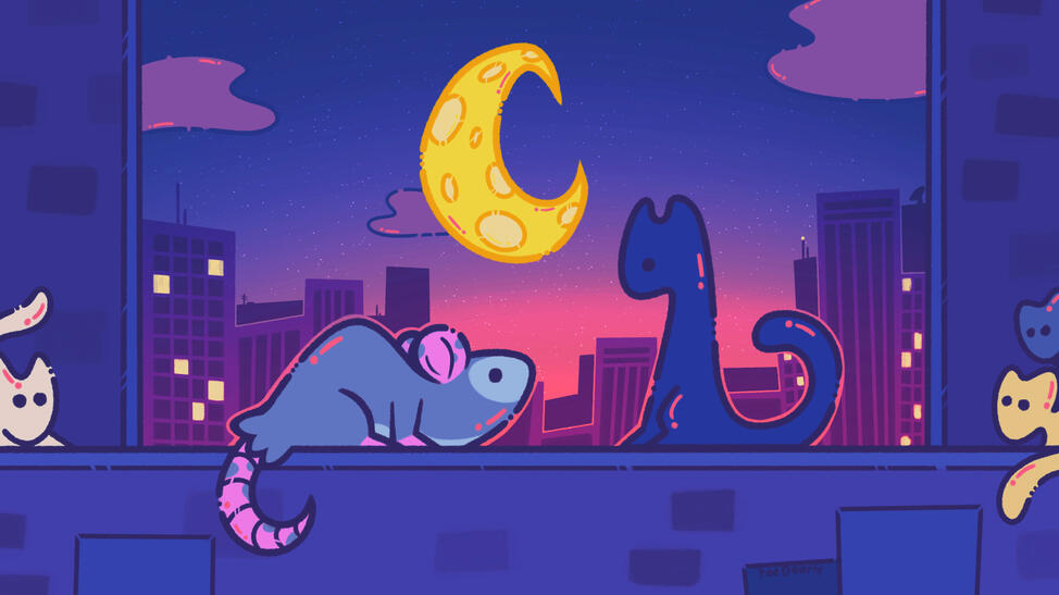 Opossum meets Cat Opossum meets Cat